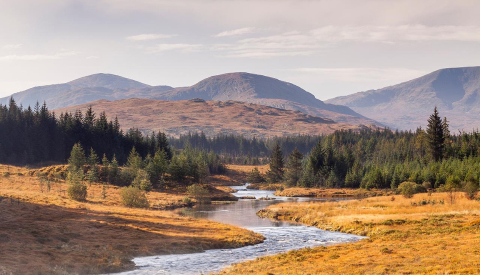 Galloway Forest Park, Scotland