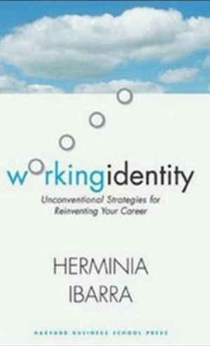 Working Identity: Unconventional Strategies for Reinventing Your Career