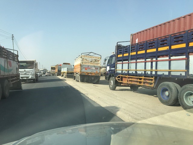 Hundreds of trucks line up to receive grain at the Berbera Port