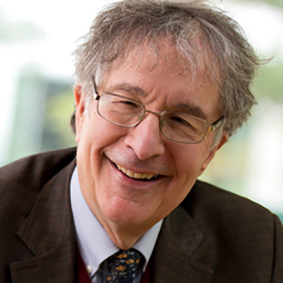 Picture of Howard Gardner