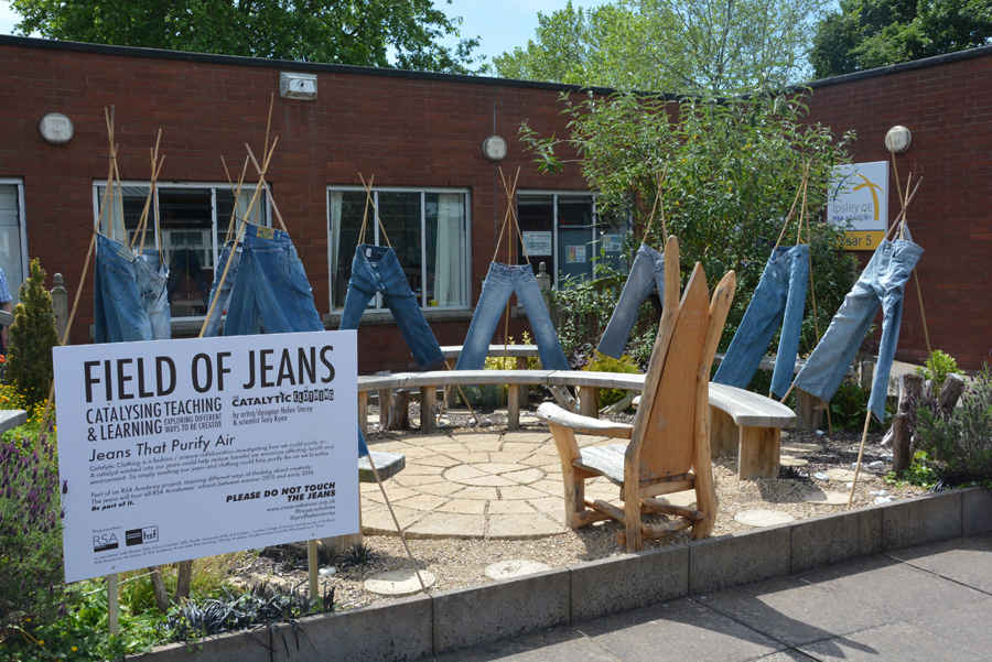 Field of Jeans