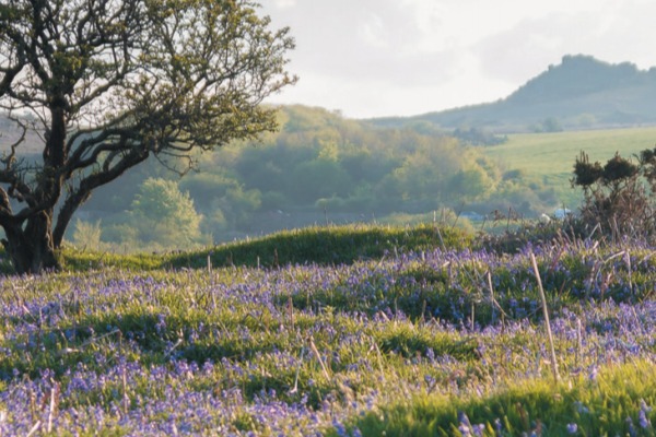 Environment and Biodiversity Working Group