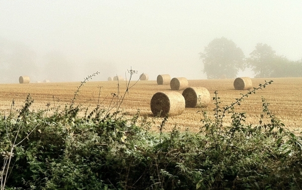 Paper: natural capital accounting for farms