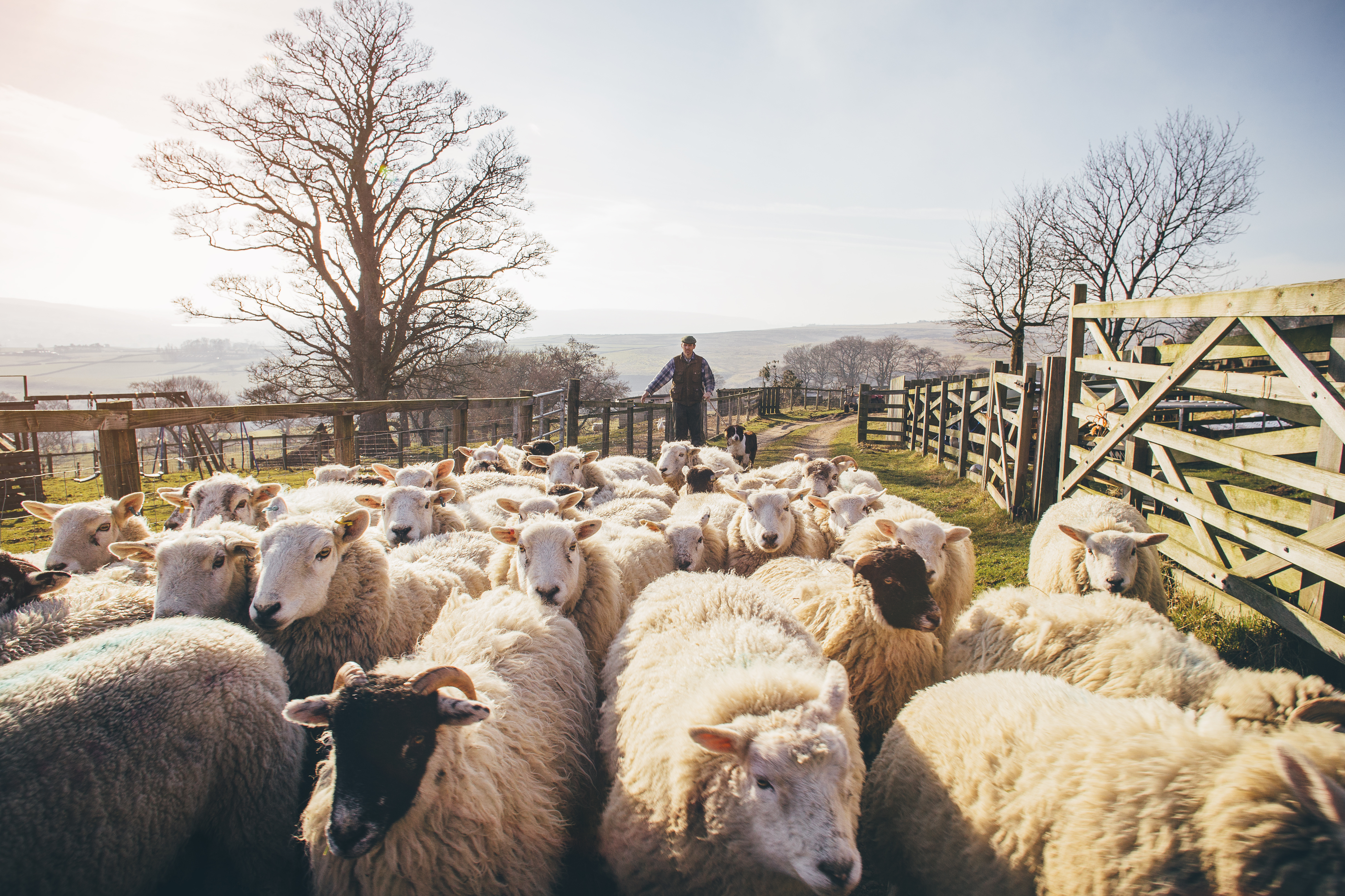 Polling data: good work in food, farming and rural communities