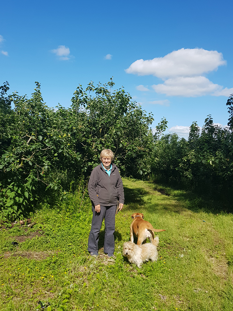 Helen and her dogs on her orchard, which has been in her family for five generations.