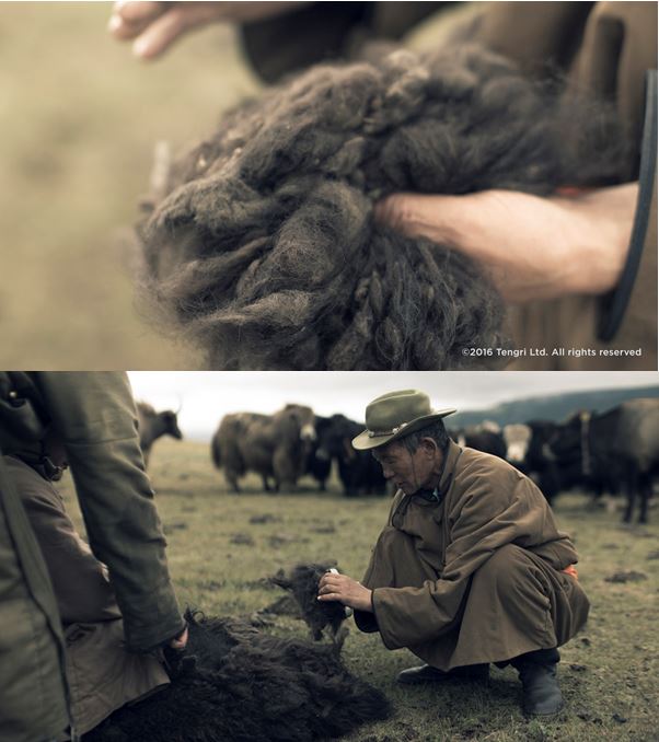 Cultivating Tengri Noble Yarns