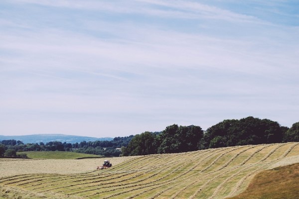 Cumbria