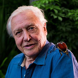 Sir David Attenborough 