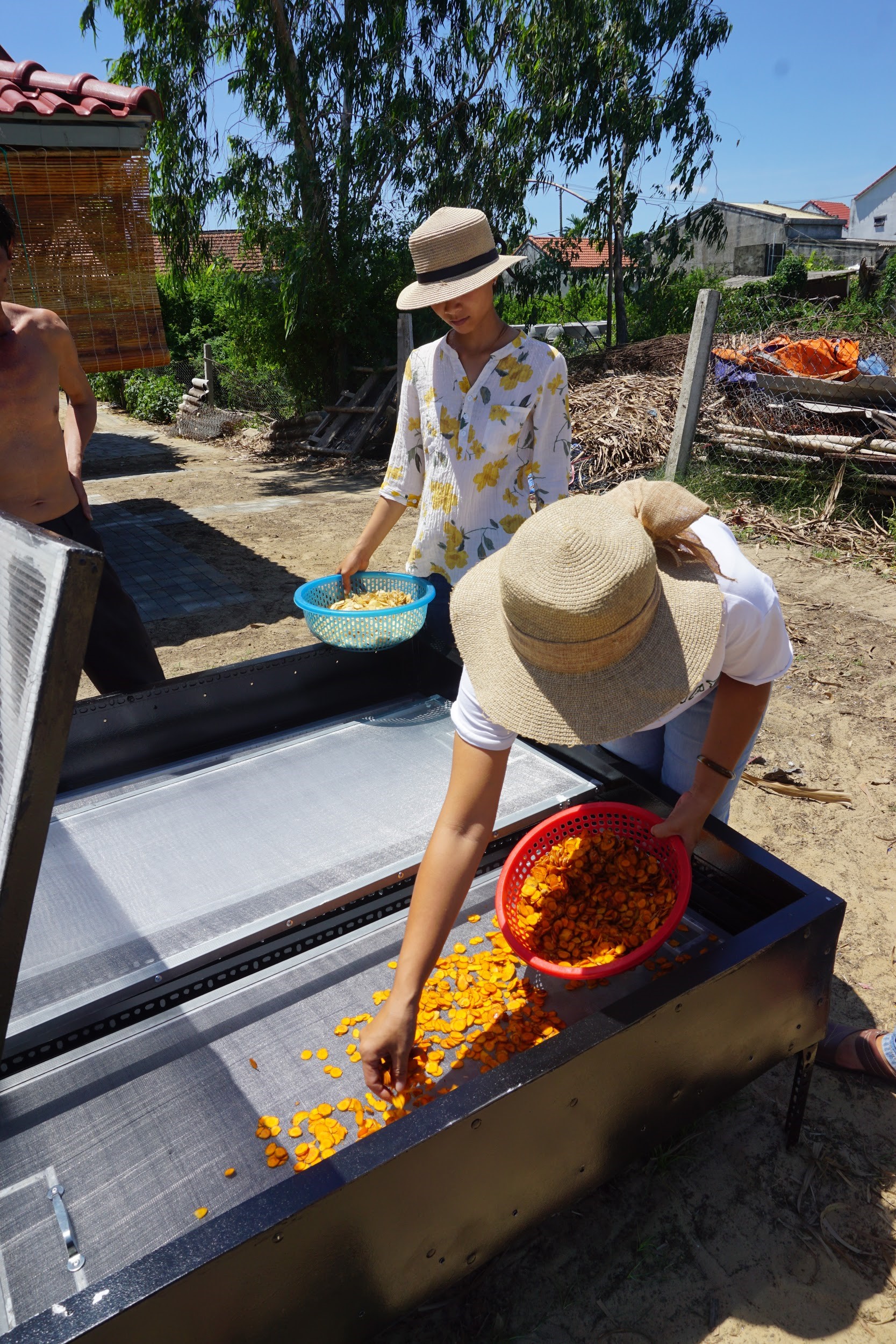 Drying Fruit